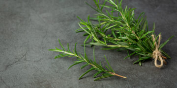 Rosemary Oil for Hair Growth: What the Science Actually Says and How to Use It Right
