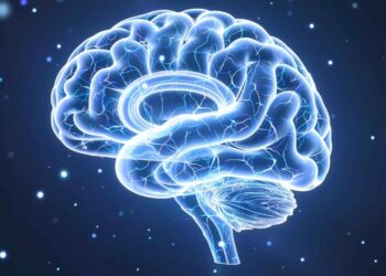 Brainrot Causes: Symptoms and Effective Remedies