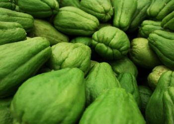 Exploring the Health Benefits of Chayote