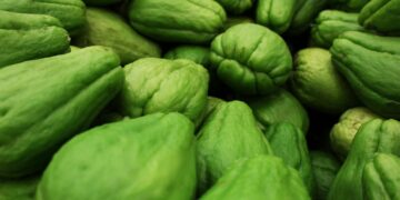 Exploring the Health Benefits of Chayote
