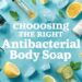 Choosing the Right Antibacterial Body Soap