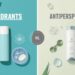 Understanding Deodorants vs. Antiperspirants: Key Differences