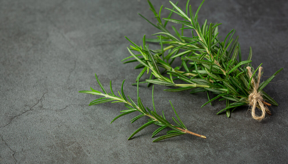 Rosemary Oil for Hair Growth: What the Science Actually Says and How to Use It Right