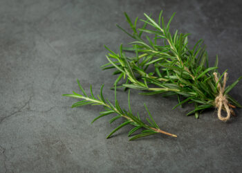Rosemary Oil for Hair Growth: What the Science Actually Says and How to Use It Right
